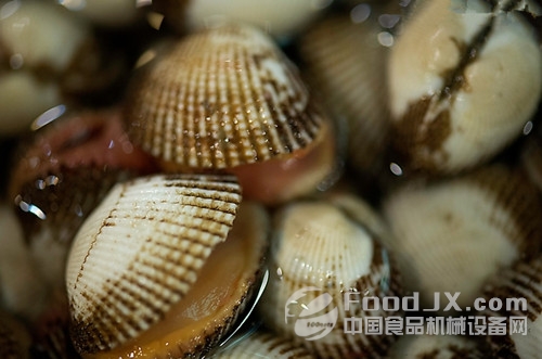 韓國(guó)擬出臺(tái)水產(chǎn)品進(jìn)口新規(guī) 單批通關(guān)費(fèi)增加3200元