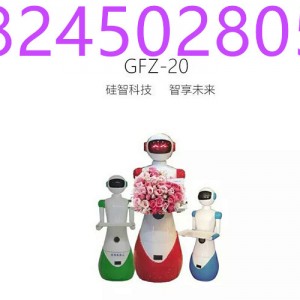 迎賓送餐機(jī)器人，外觀時尚吸引眼球可用于高檔私人會所，餐廳，商場，銀行大廈