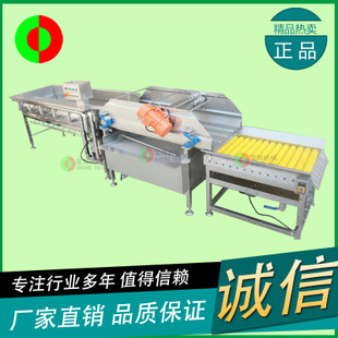 商用各季節(jié)大型蔬菜水果清洗機(jī) 蔬菜大棗清洗機(jī) 果蔬青菜類(lèi)洗菜機(jī)
