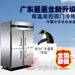 批發星星商用制冷設備四門單溫冷凍冰柜冰庫冷柜廚房設備現貨